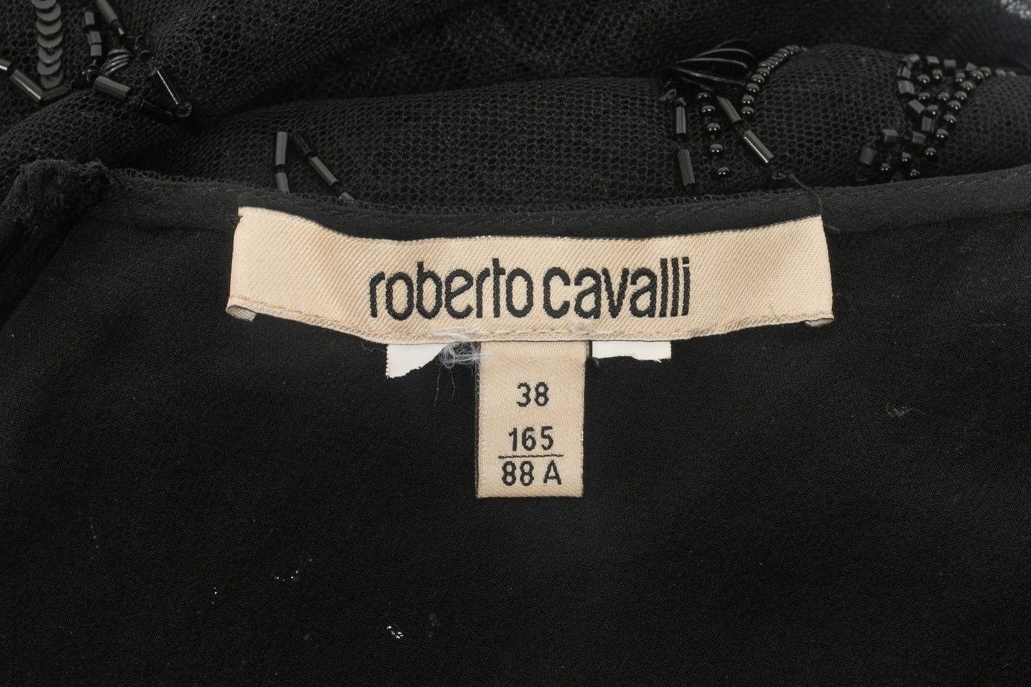 Robe perlées Roberto Cavalli Resort 2024