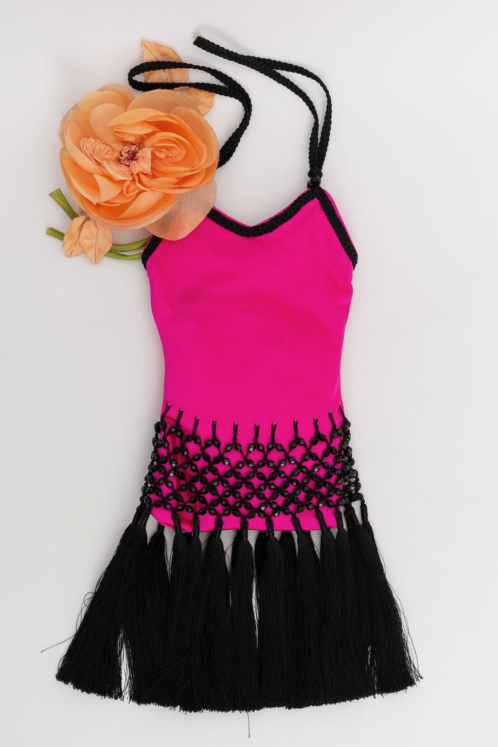 S1293-1