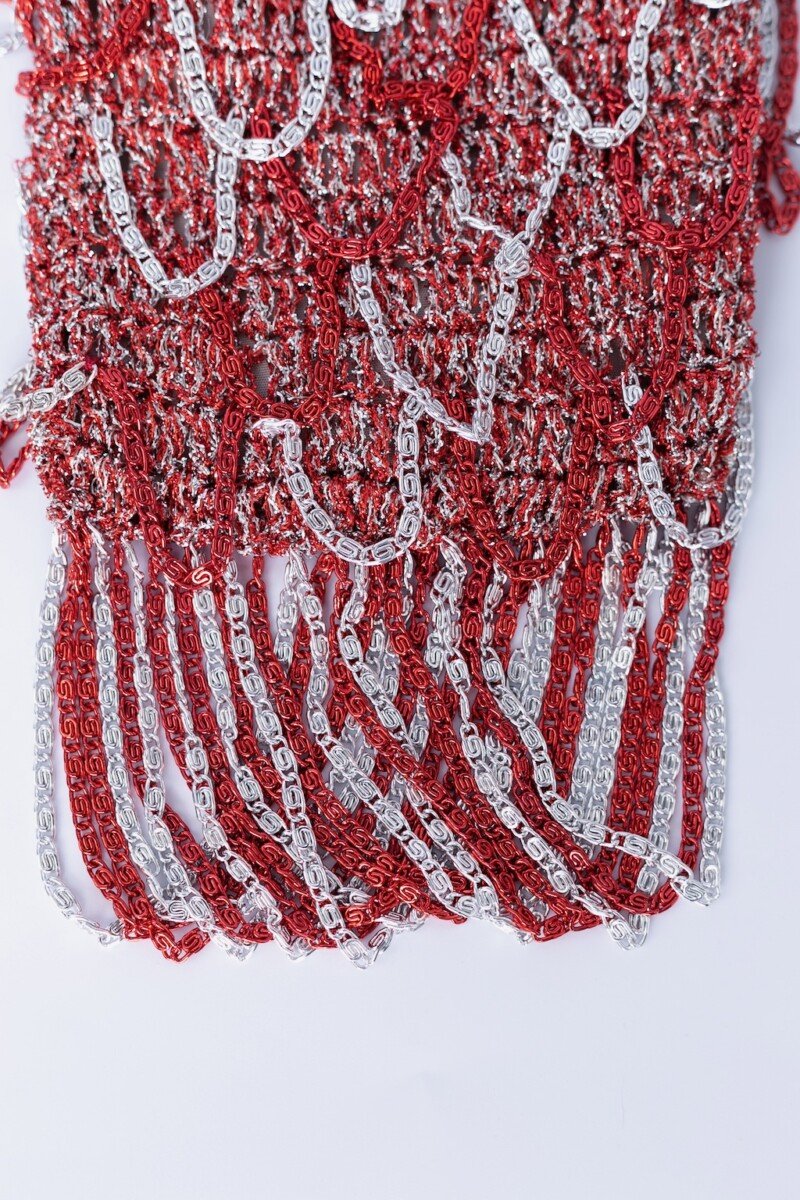 S1511-6