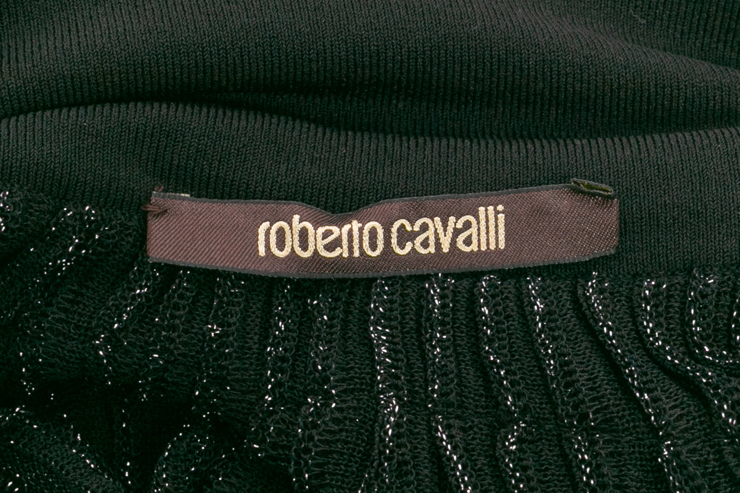 Jupe Roberto Cavalli