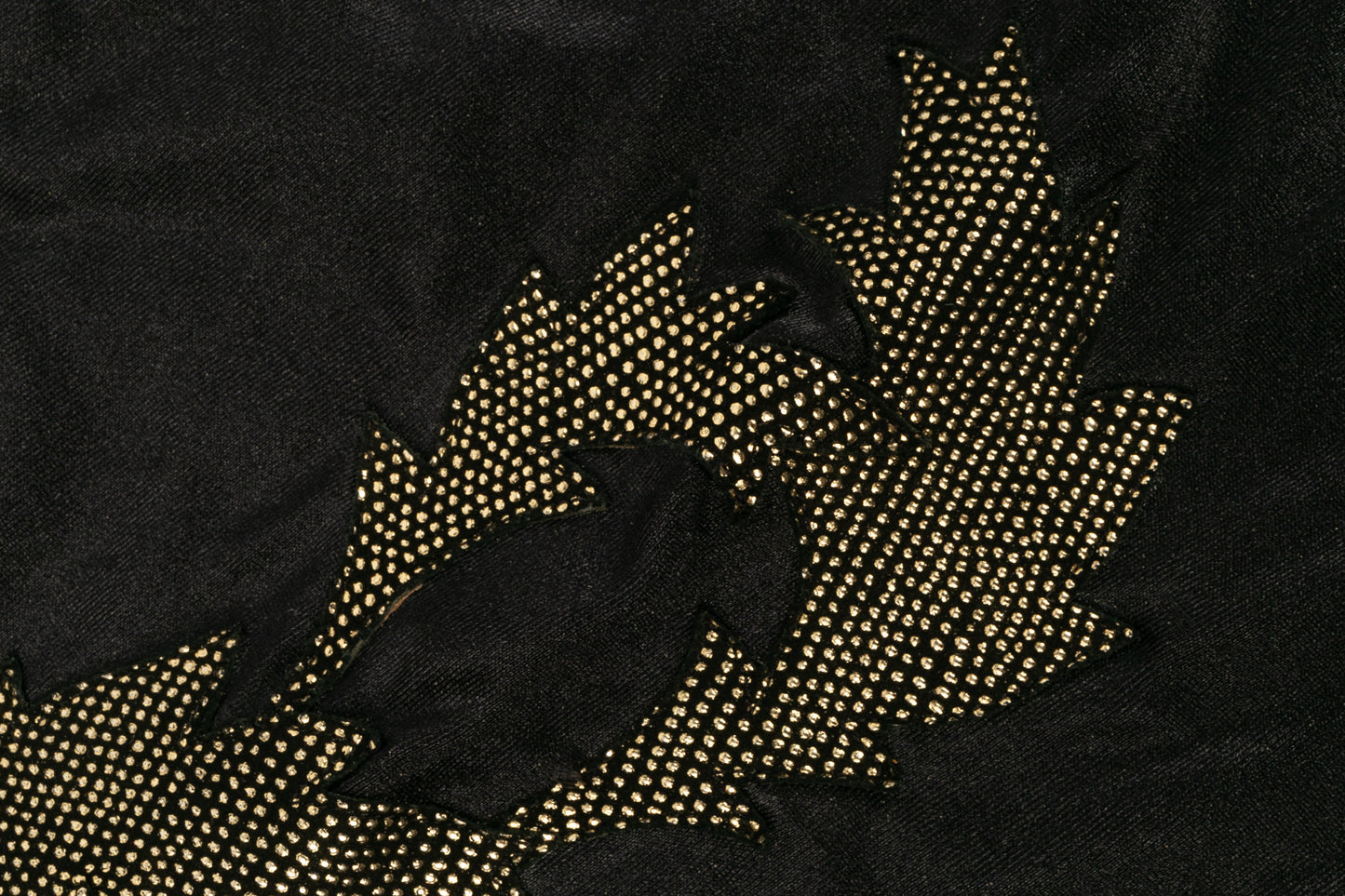 Bottes / cuissardes Gaudin