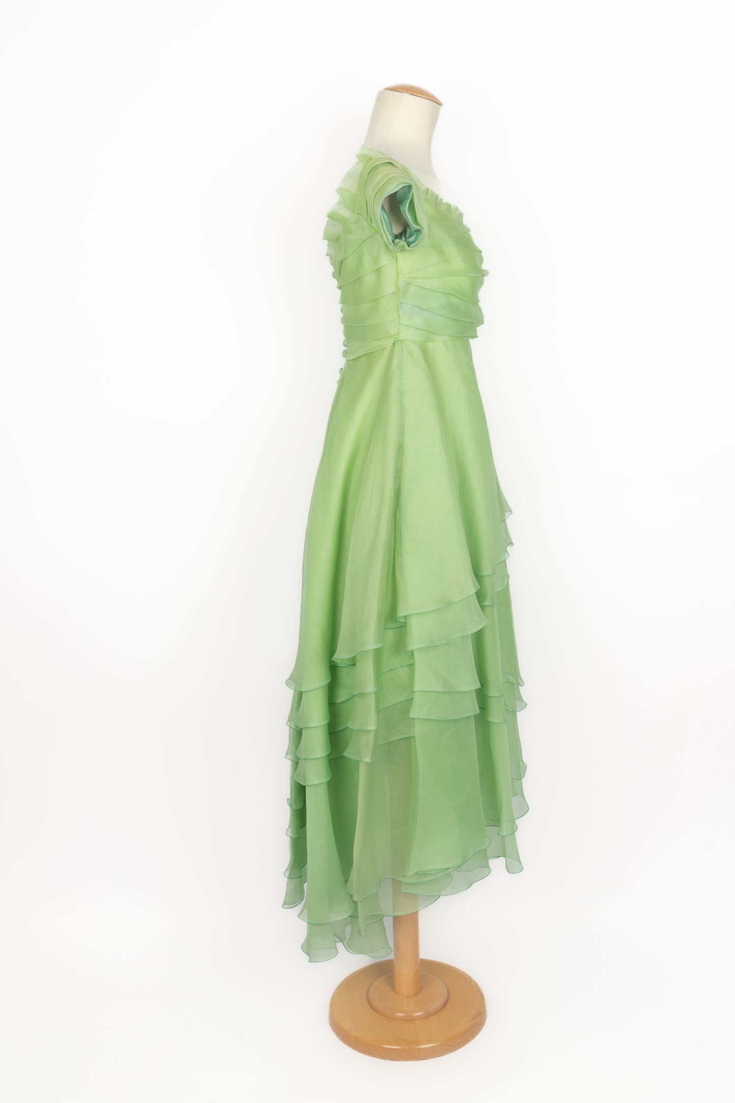 Robe vintage en organza 