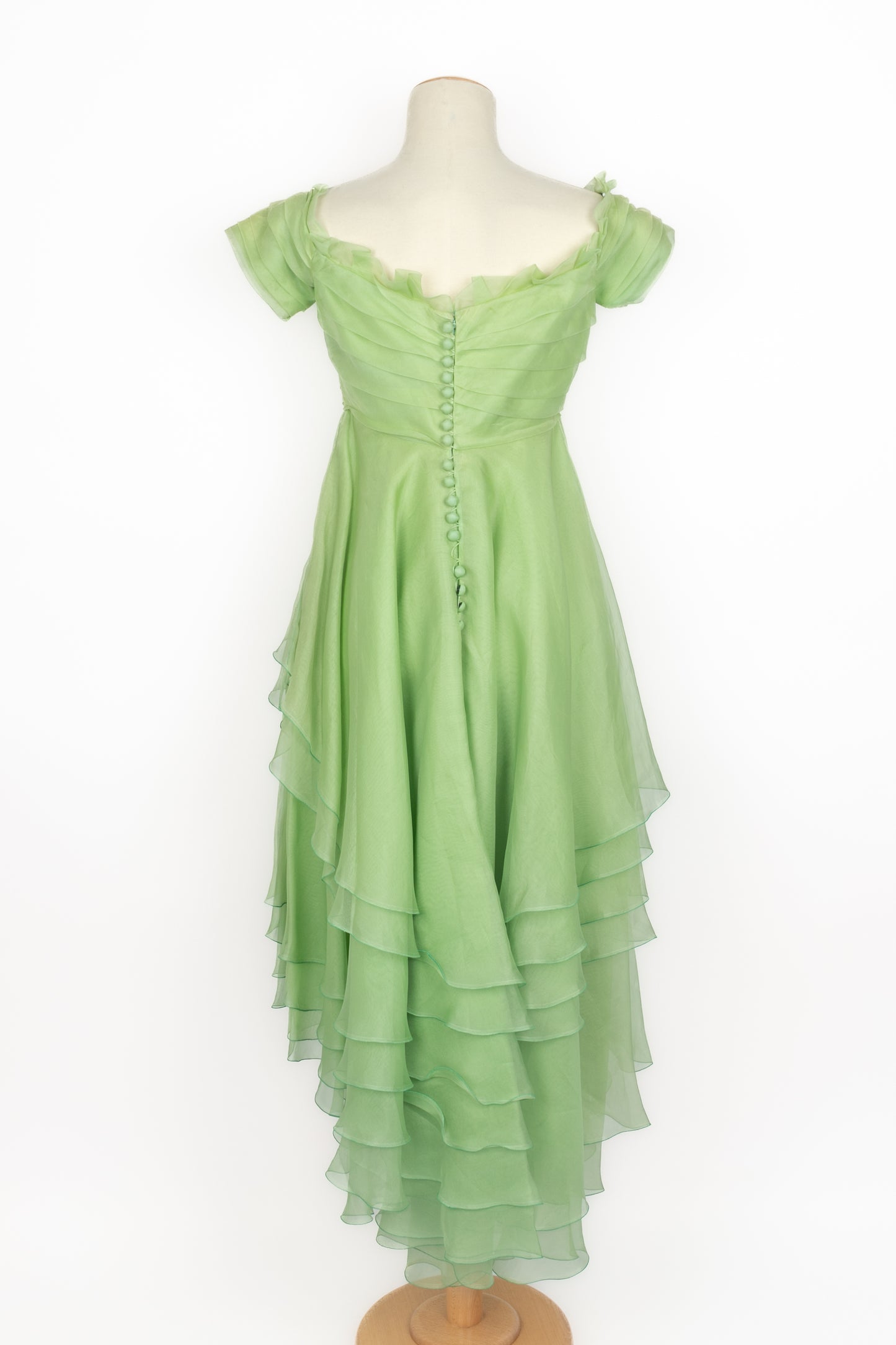 Robe vintage en organza 