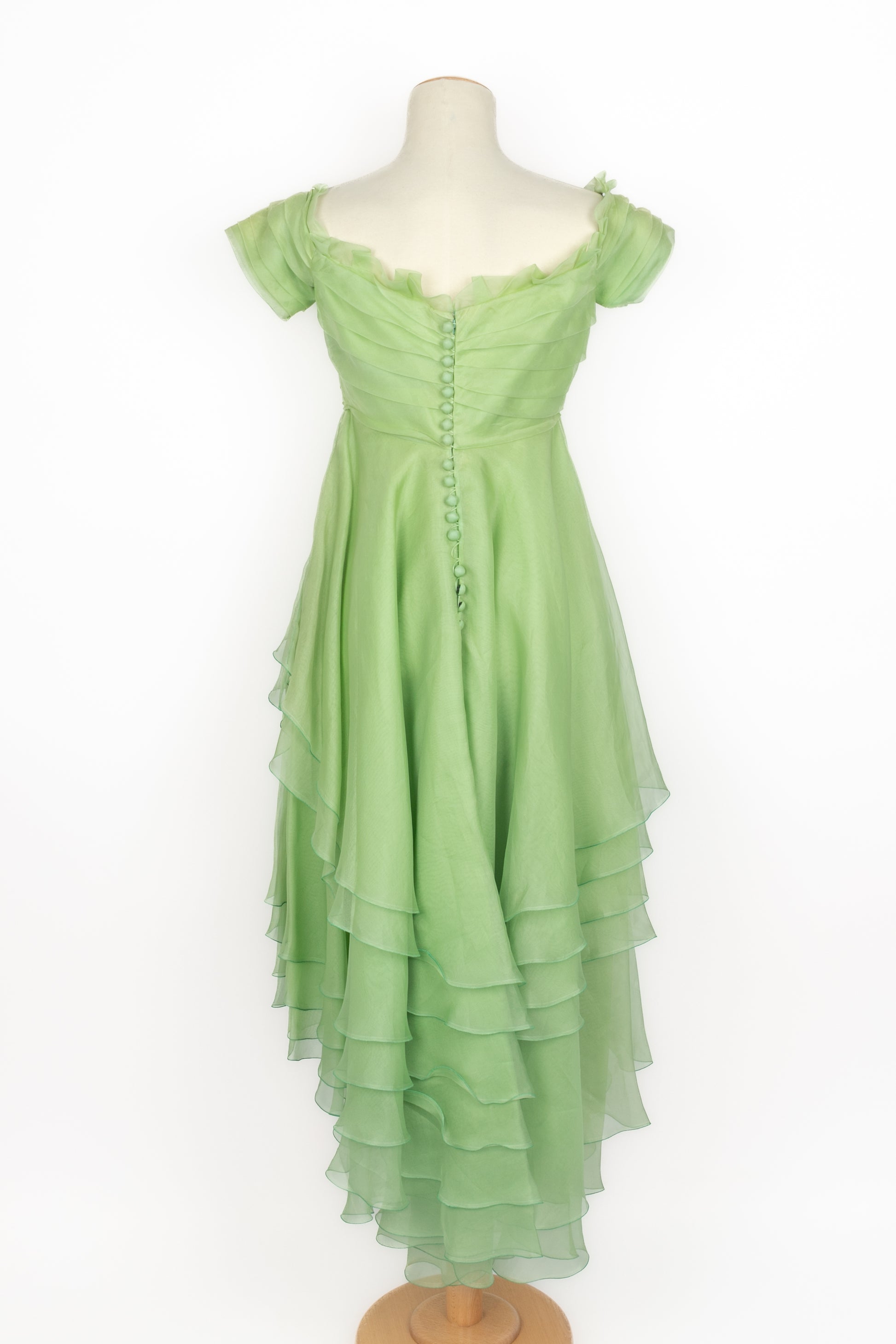 Robe vintage en organza 
