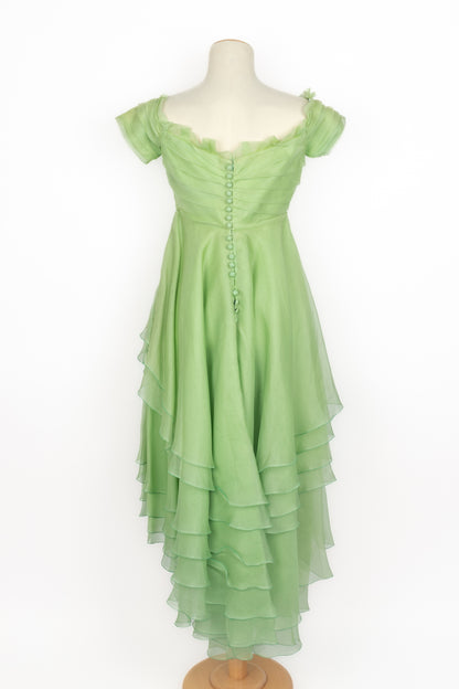 Robe vintage en organza 