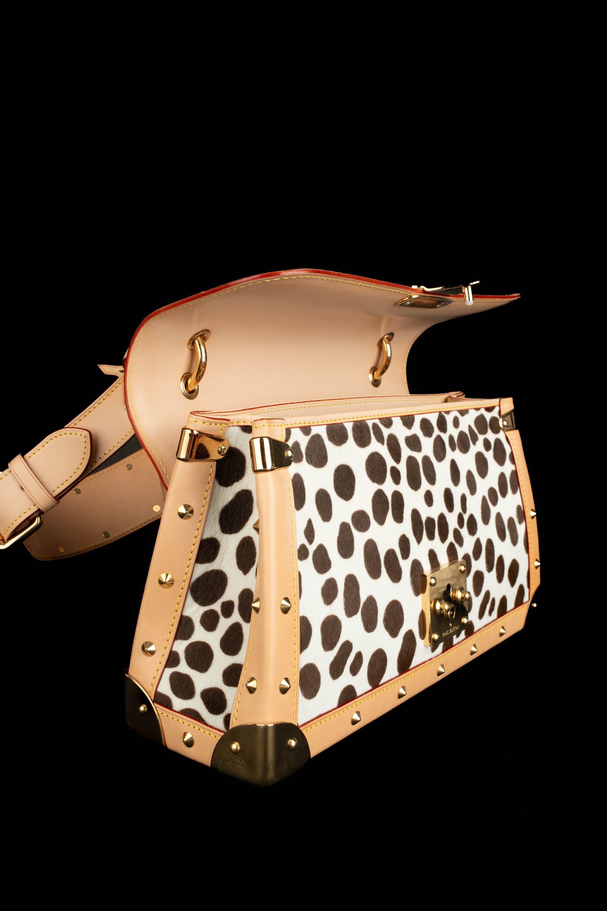 Sac "Dalmatien" Louis Vuitton 2003