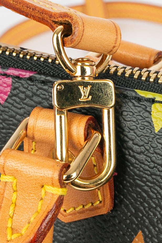 Louis Vuitton x Takashi Murakami Nano Speedy bag 2003 limited