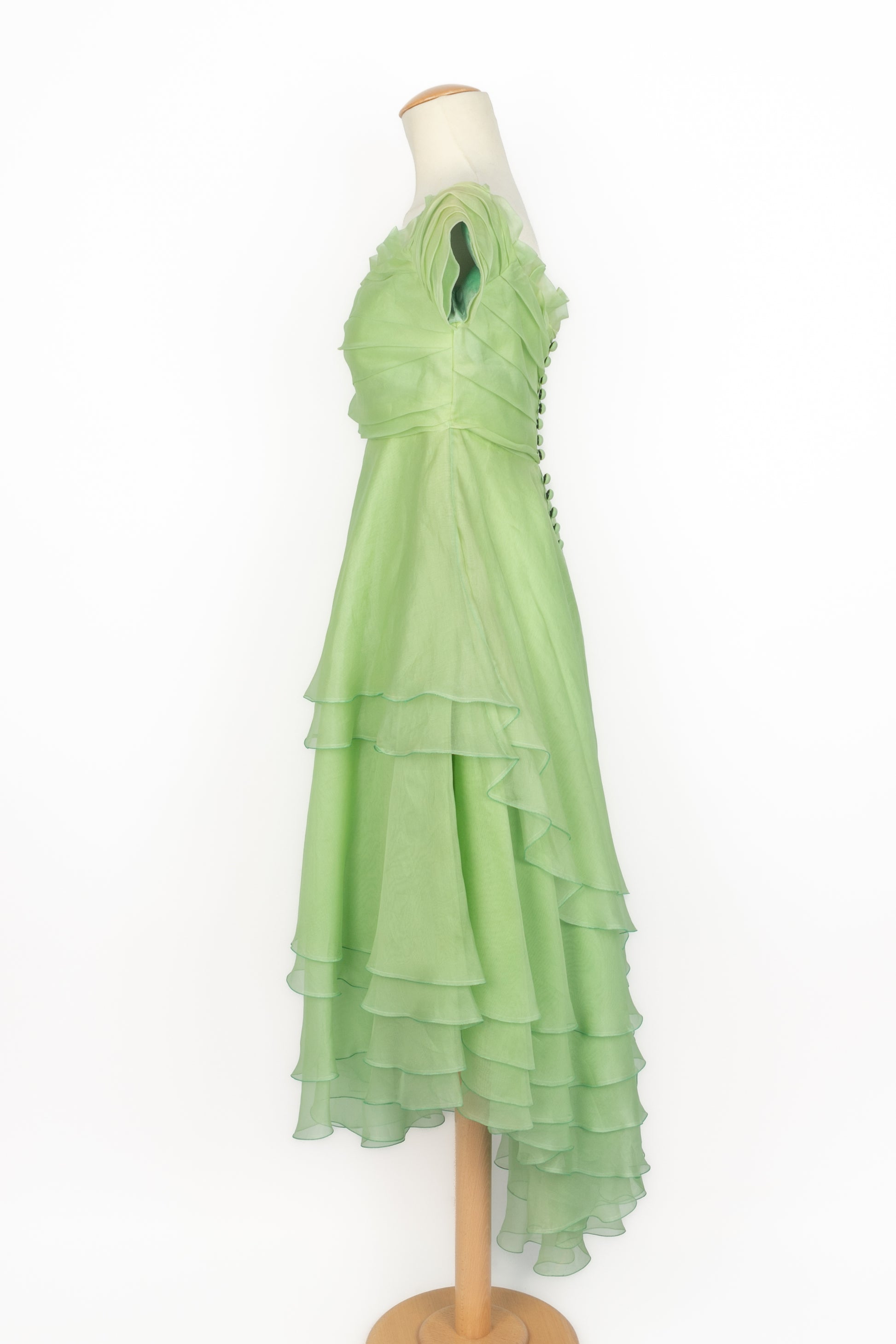 Robe vintage en organza 