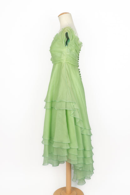 Robe vintage en organza 