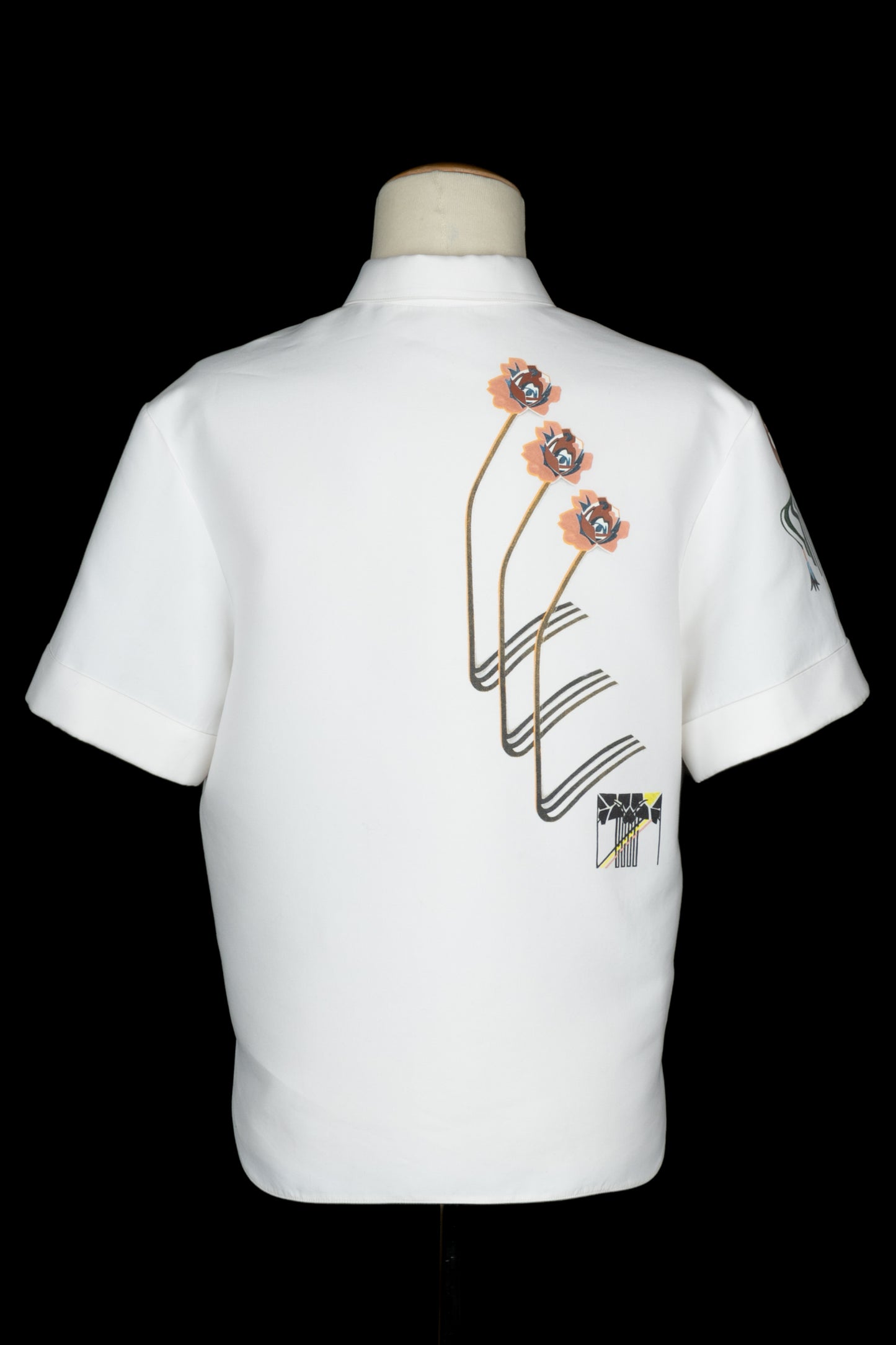 Chemisier Christian Dior Resort 2016