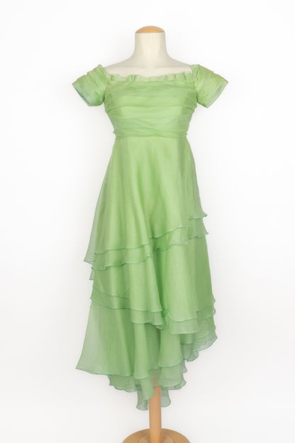 Robe vintage en organza 