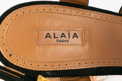 Escarpins en cuir Alaïa 