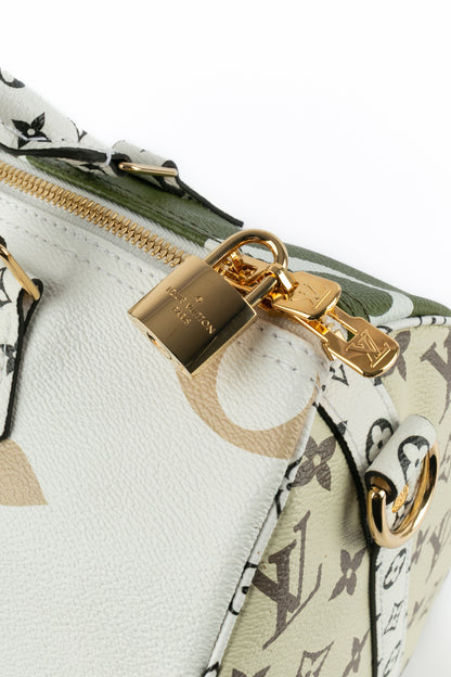 Sac Speedy 30 Louis Vuitton 2019 édition limitée 