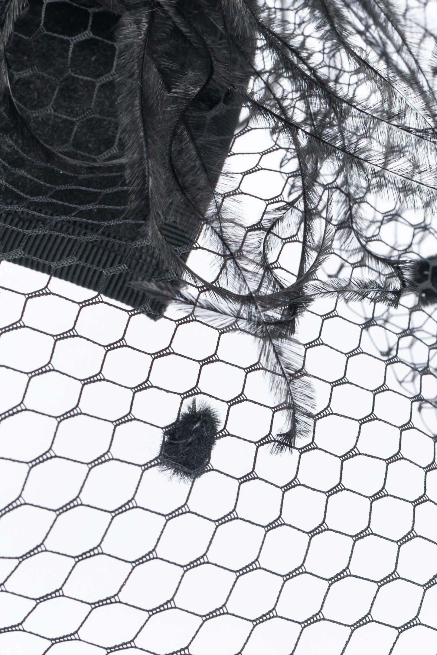 Accessoire de tête / Chapeau bibi anonyme
