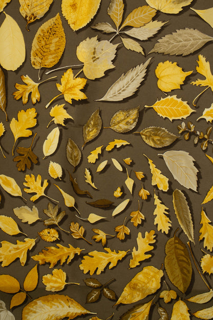 Foulard / carré Hermès "Tourbillons"