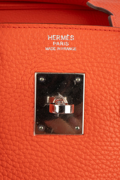 Sac Birkin Hermès 2016