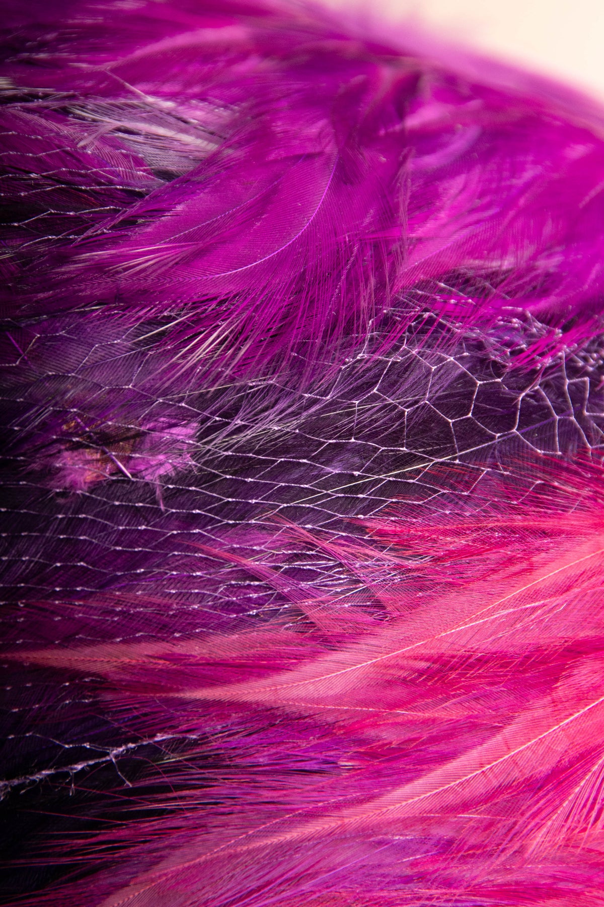 DSC_3351.jpg