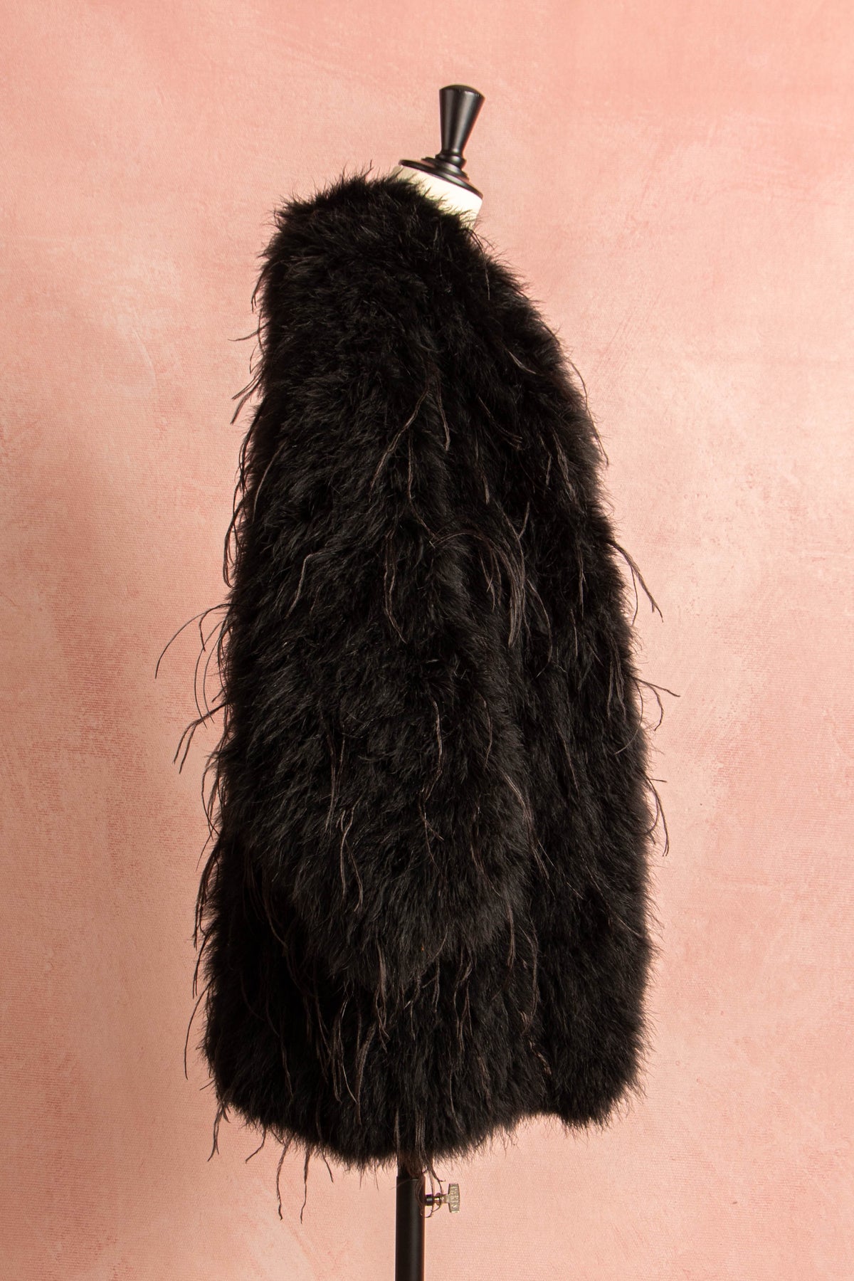 DSC_6145.jpg