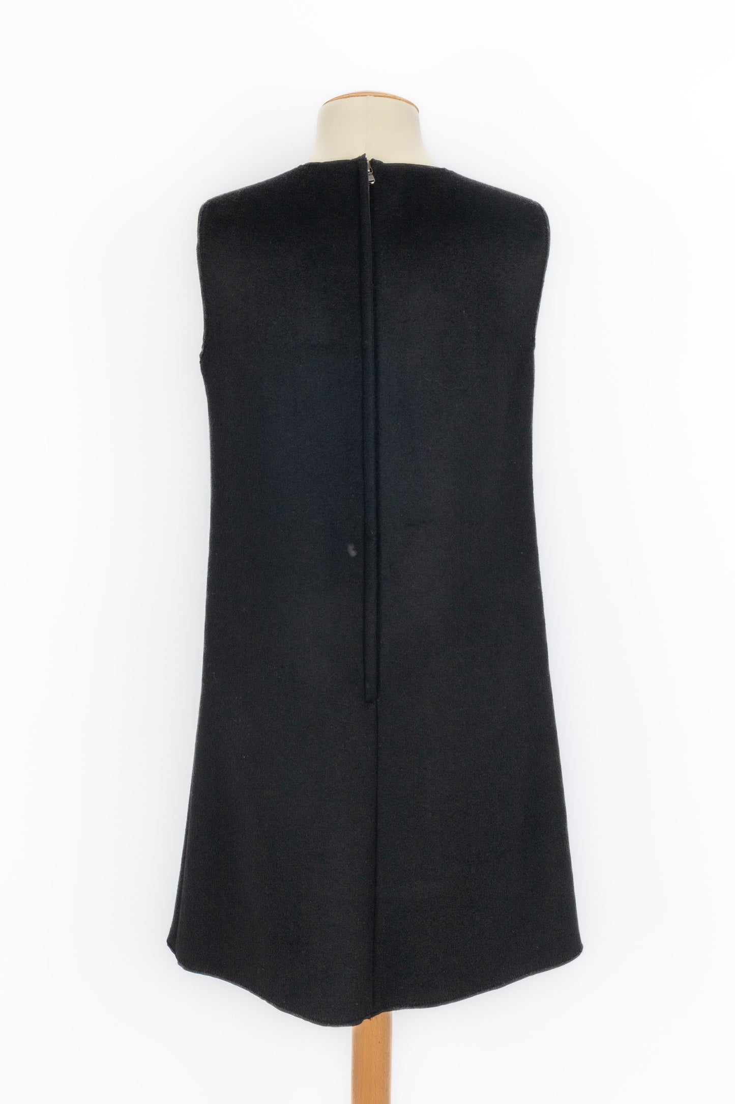 Robe "Princess" Dolce & Gabbana Hiver 2016