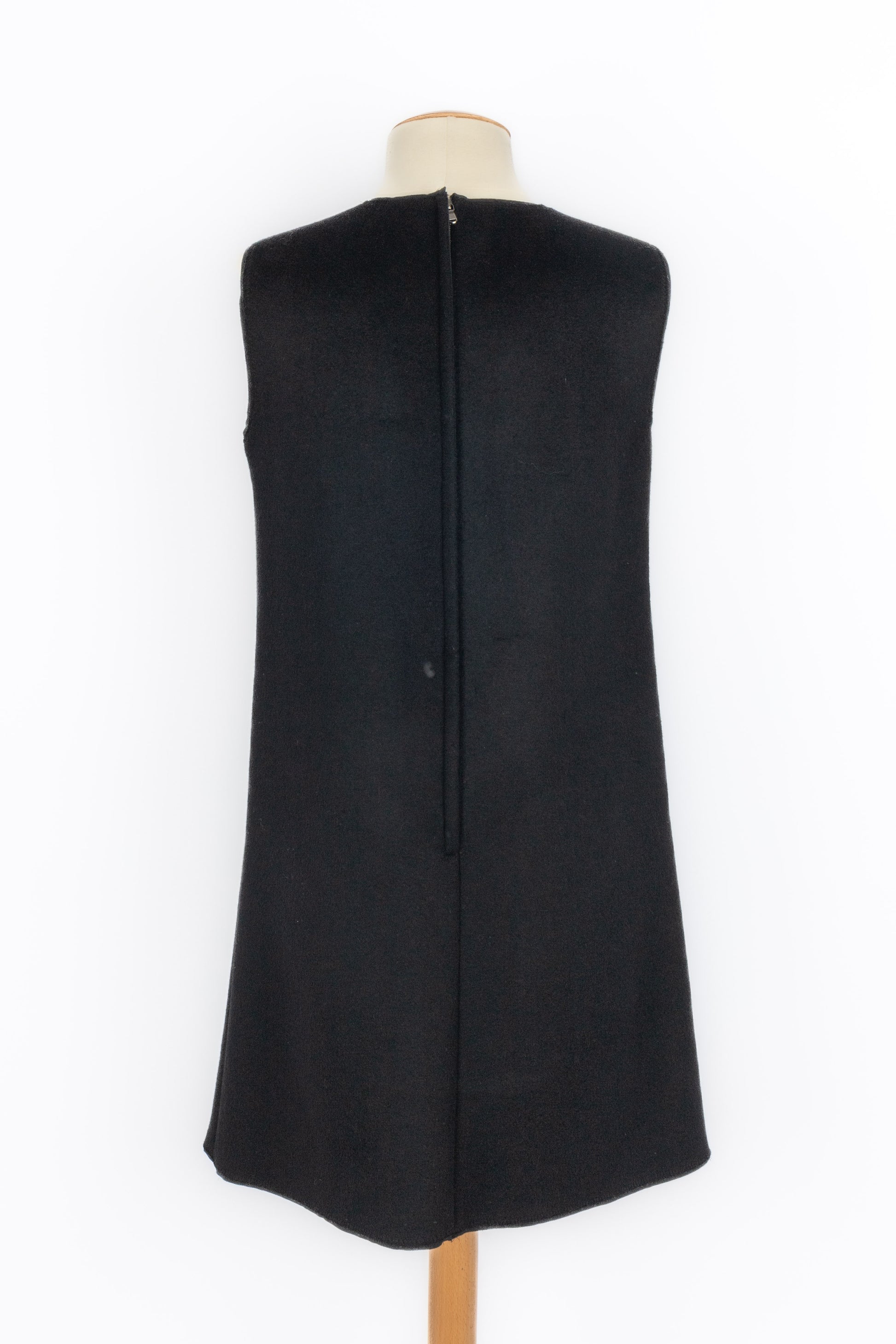 Robe "Princess" Dolce & Gabbana Hiver 2016