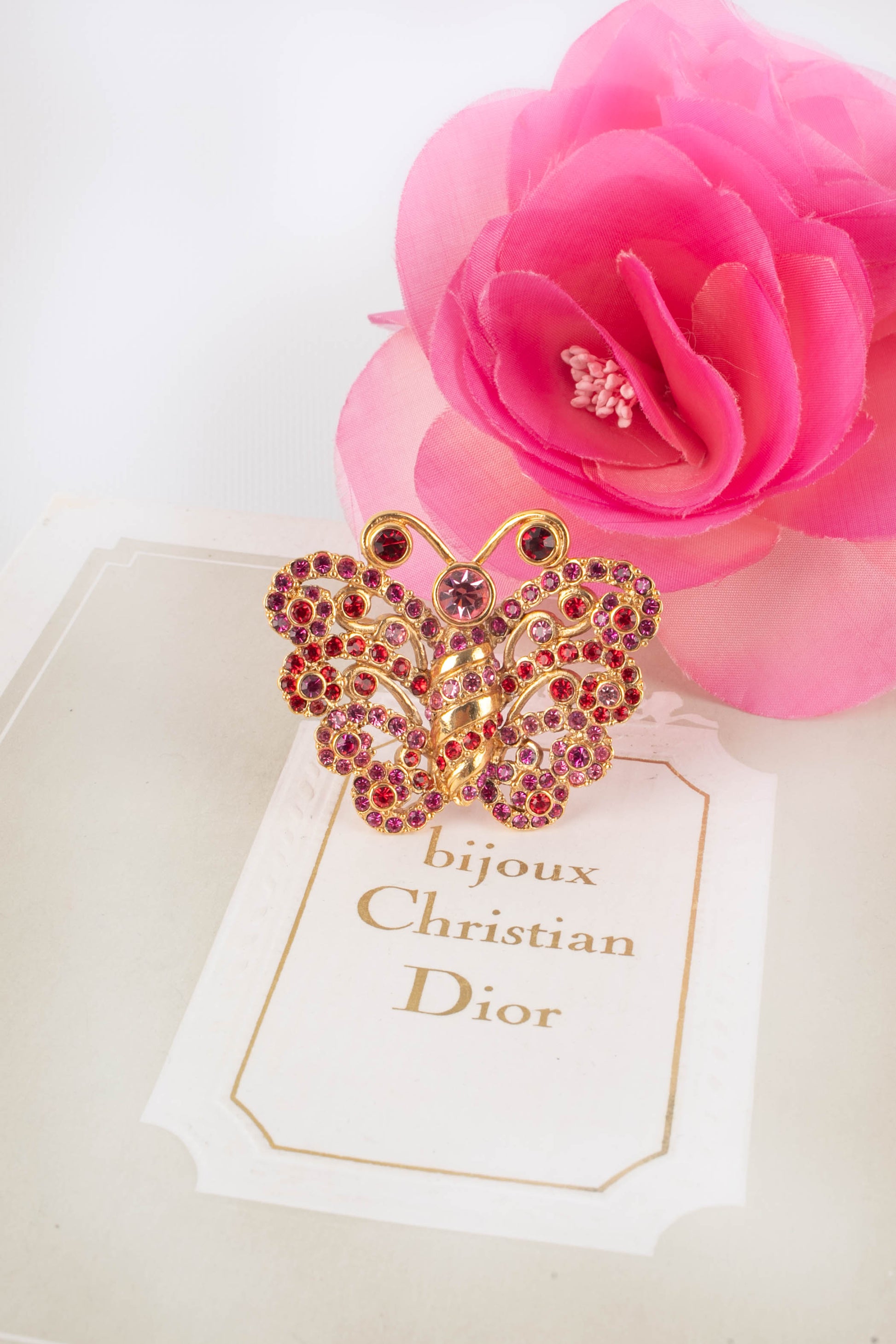 Broche papillon Dior