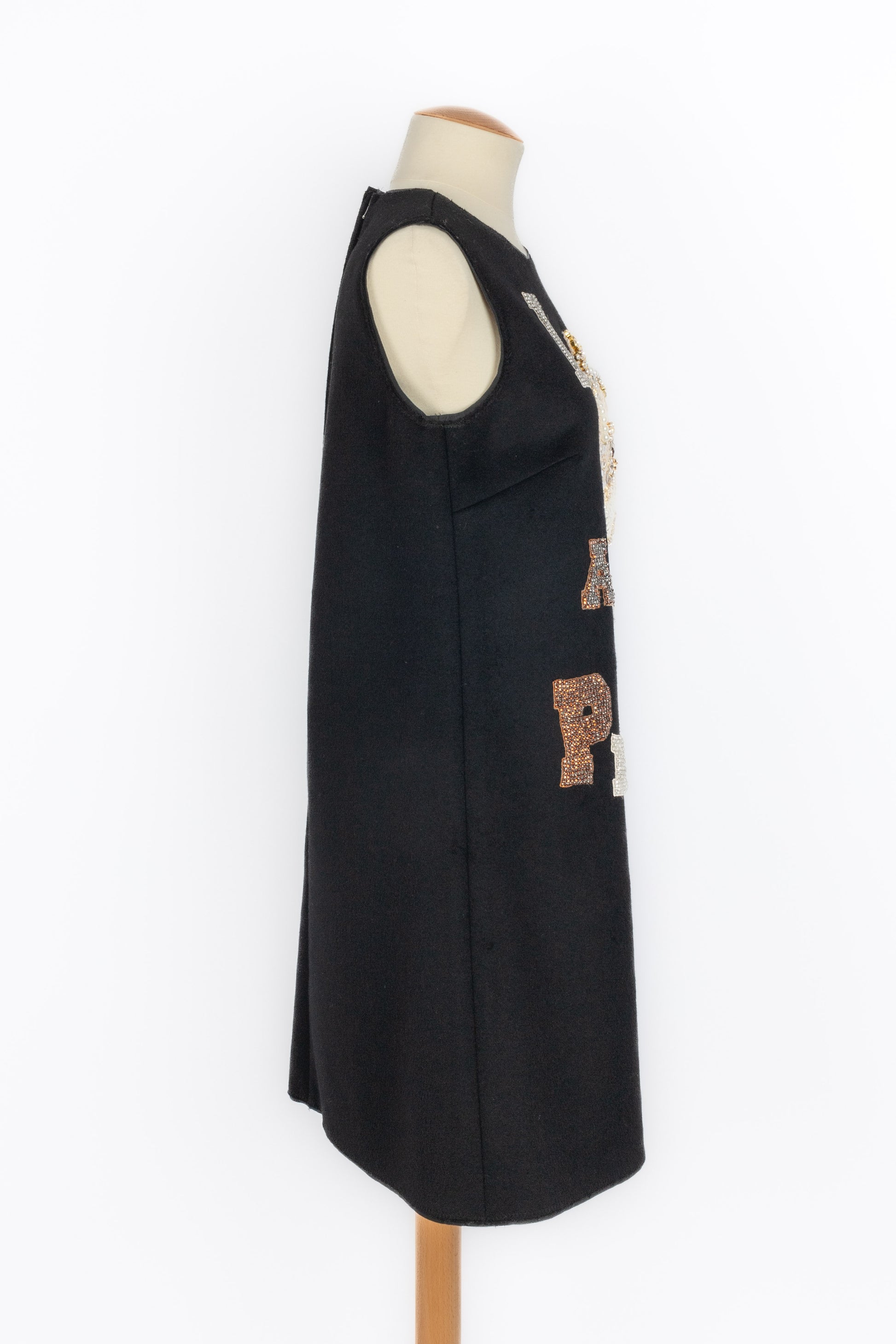 Robe "Princess" Dolce & Gabbana Hiver 2016