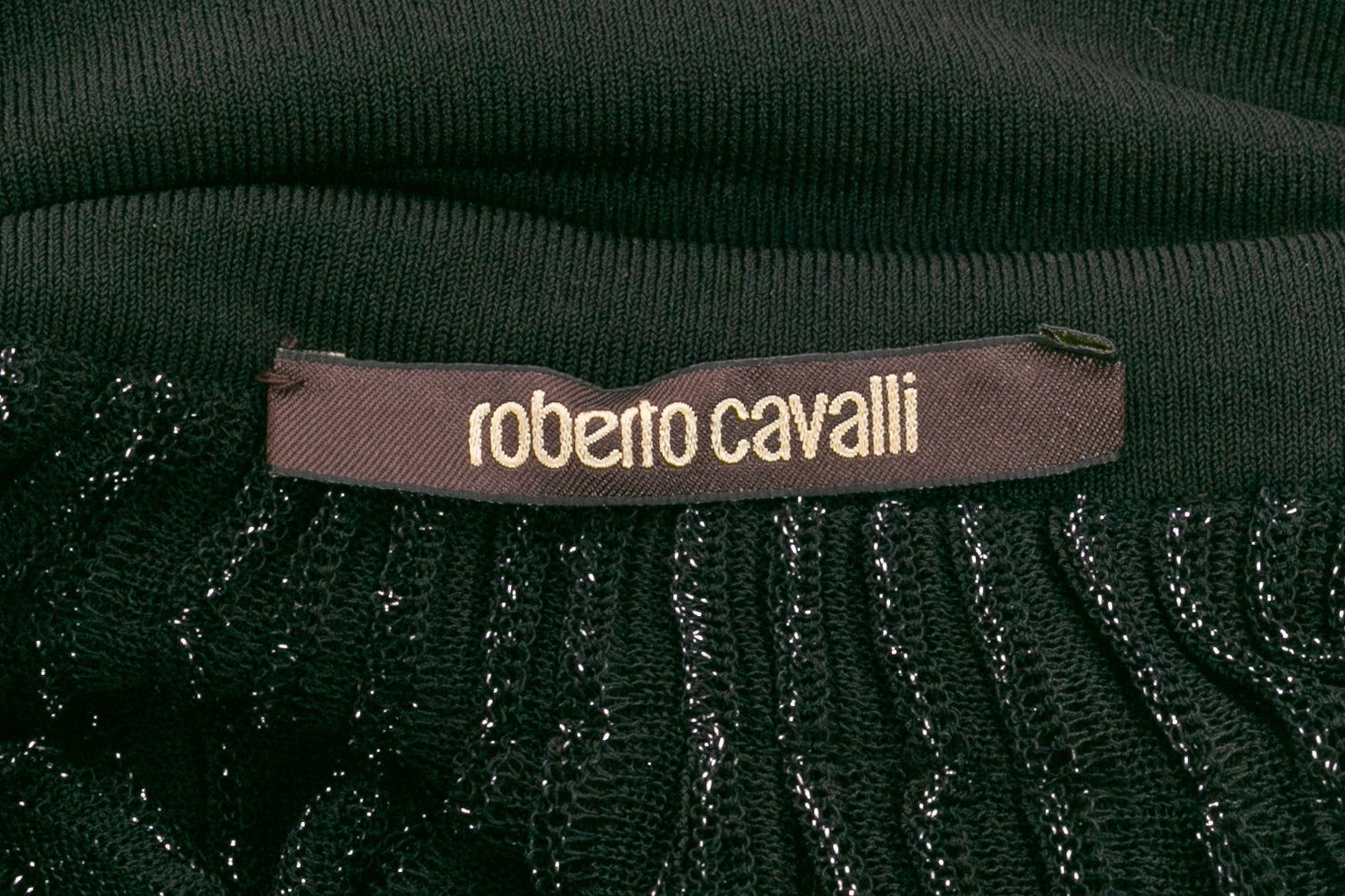 Jupe Roberto Cavalli