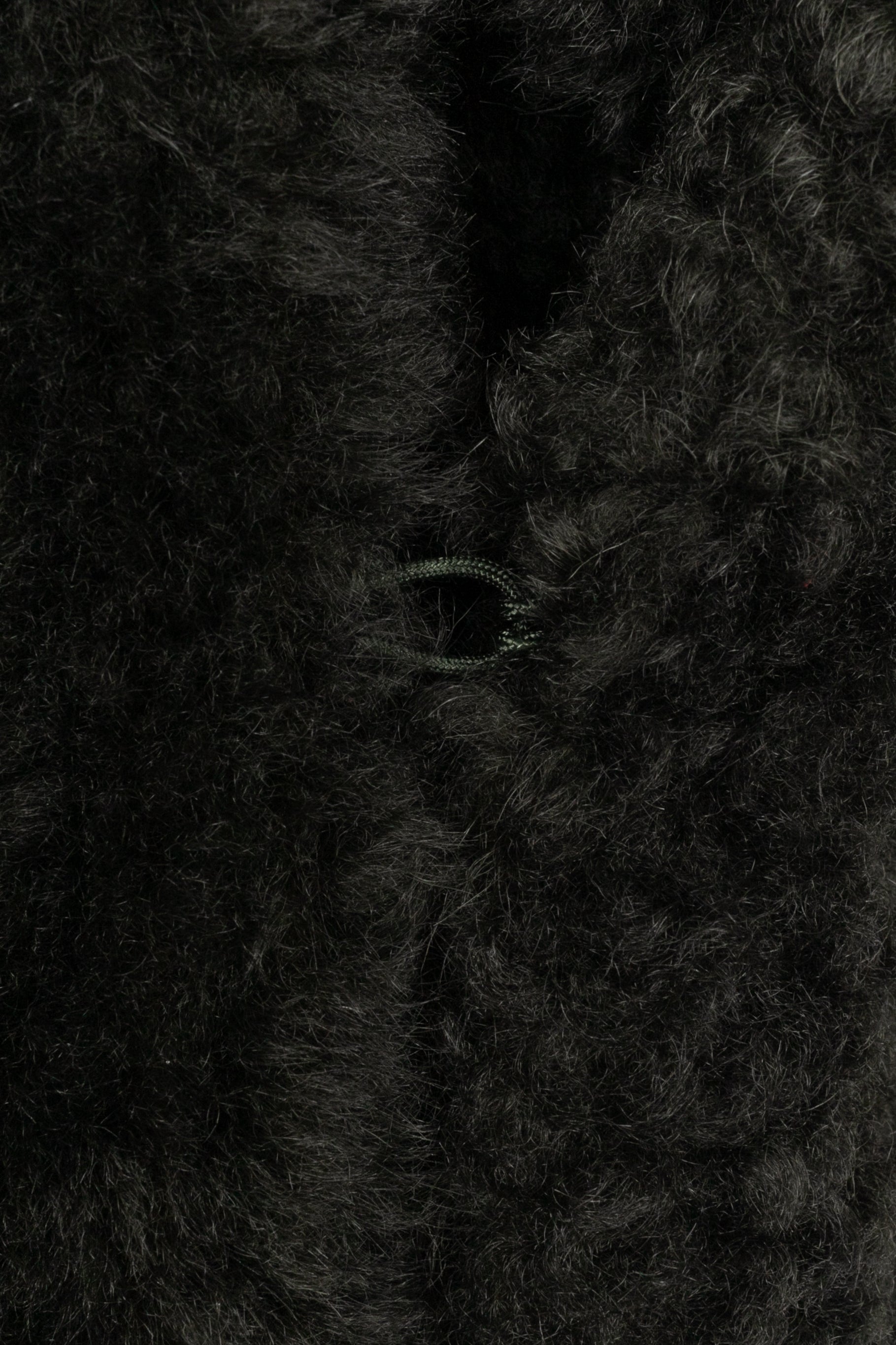 Manteau Bottega Veneta Hiver 2020