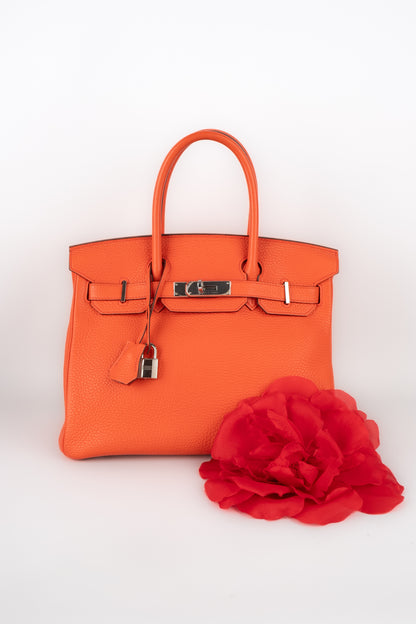 Sac Birkin Hermès 2016