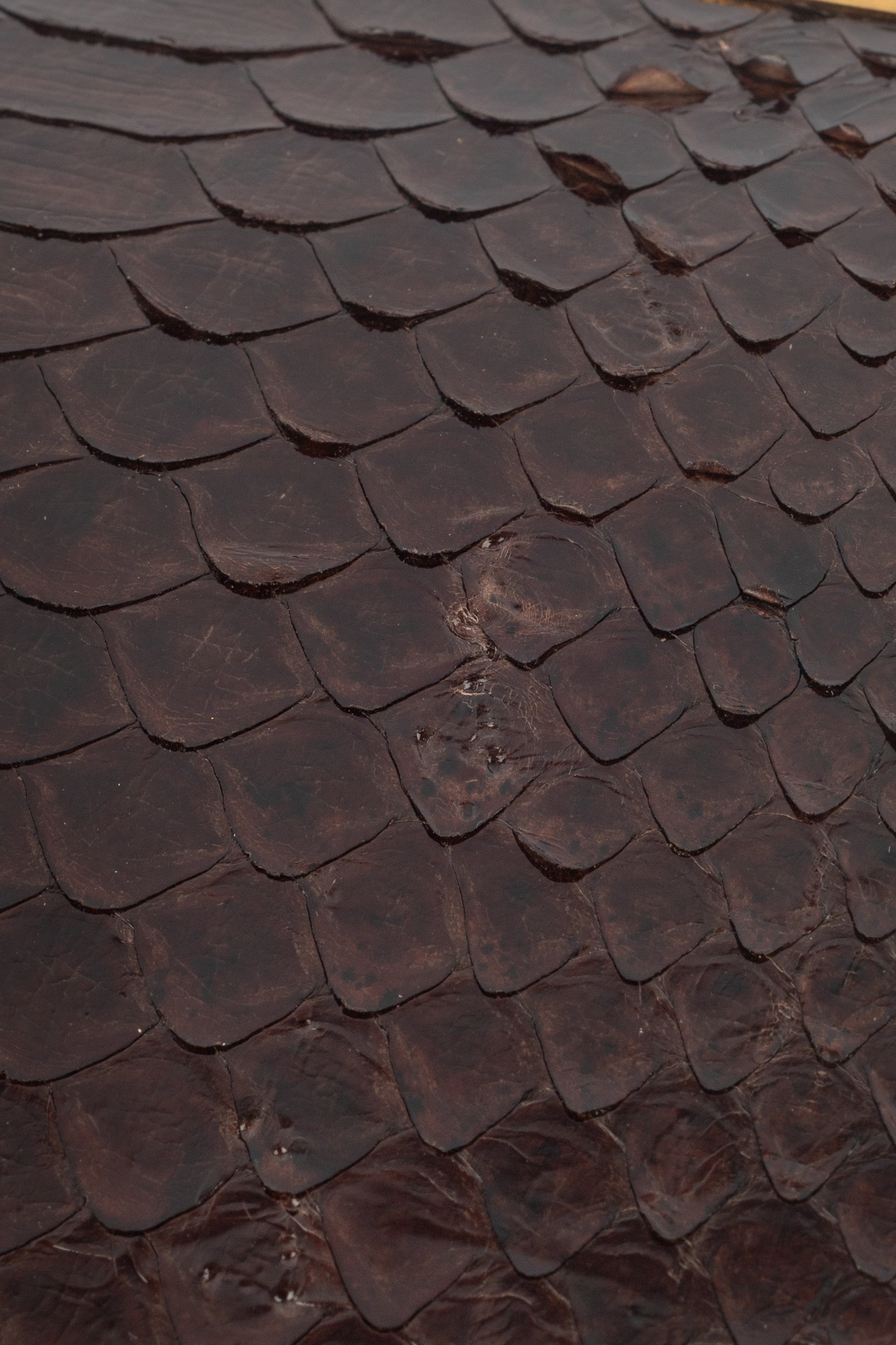 Sac à main "Python Nuit Blanche" Yves Saint Laurent