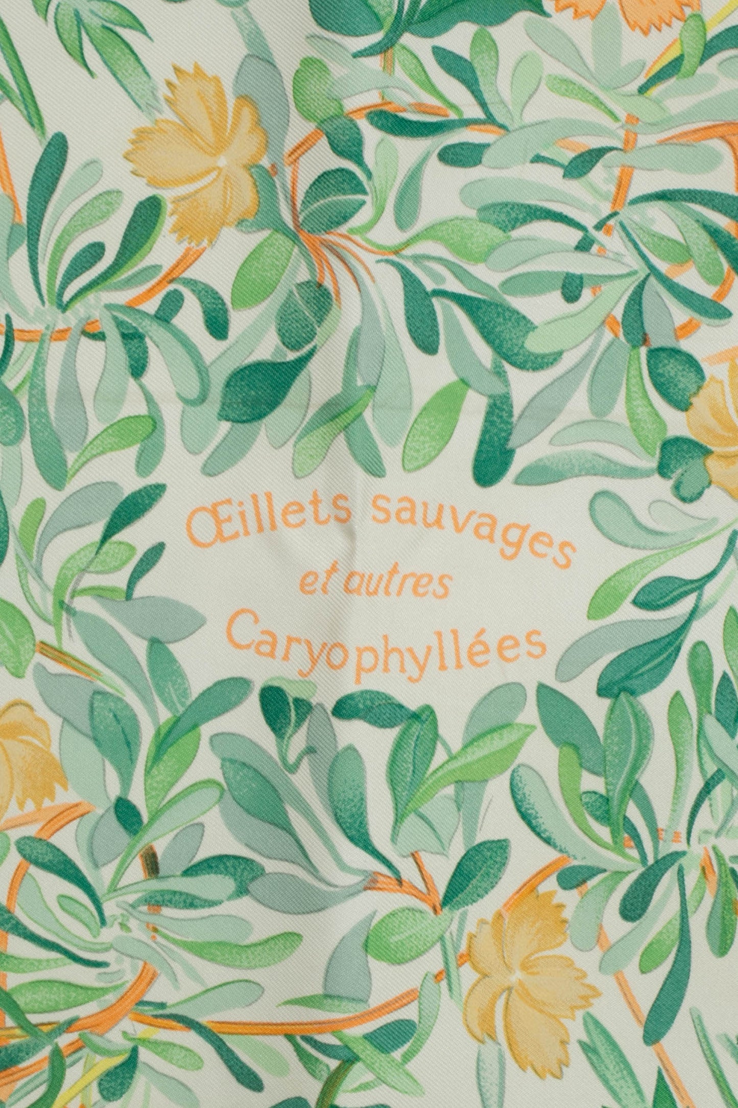 Foulard / carré "Oeillets sauvages et autres Caryophyllées" Hermès