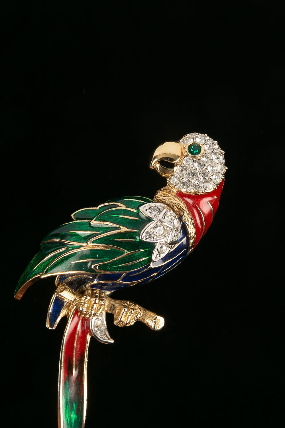 Broche "perroquet" 